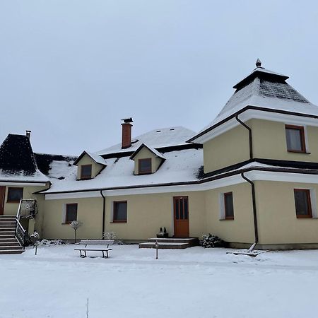 Penzion U Dvoch Levov 奥拉夫斯基波扎莫克 外观 照片